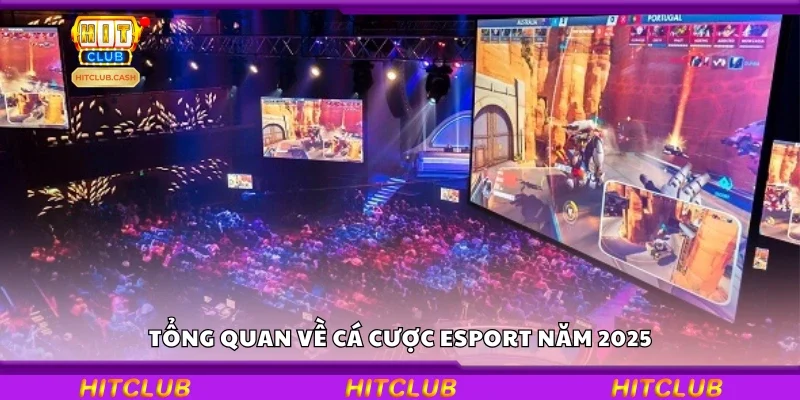 Tìm hiểu về cá cược Esport năm 2025