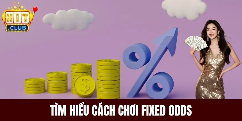 Tìm hiểu cách chơi Fixed Odds
